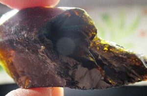 アンダラ#001: シエラ産純正オールドストック、初代ブラウン、天然溶解跡ありのころりん型「長老」！